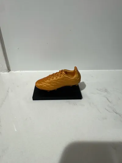 https://makerworld.bblmw.com/makerworld/model/894758/852422/ratings/e9f7a580-ae16-11f0-86f2-93b98d7c75f3.jpg
