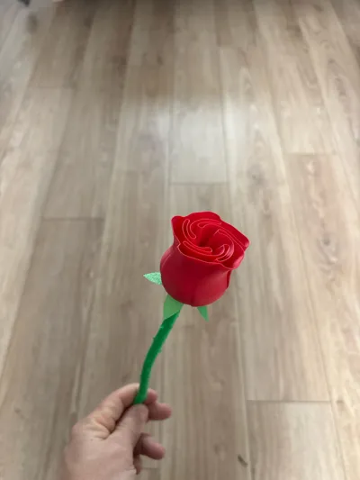 https://makerworld.bblmw.com/makerworld/model/89698/101242/ratings/30def500-e893-11f0-a88a-41e8f7d69e98.jpg