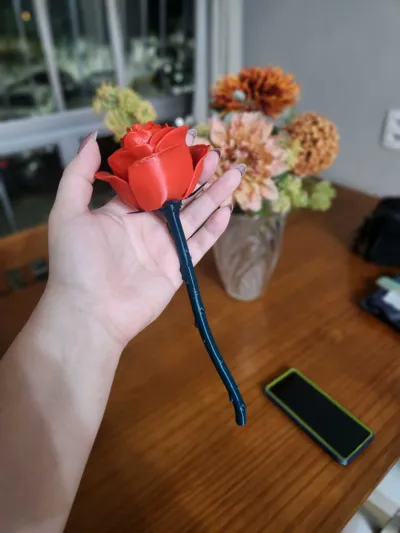 https://makerworld.bblmw.com/makerworld/model/89698/115102/ratings/2cc8fac0-561b-11f0-b307-29ec4b9db3ec.jpg