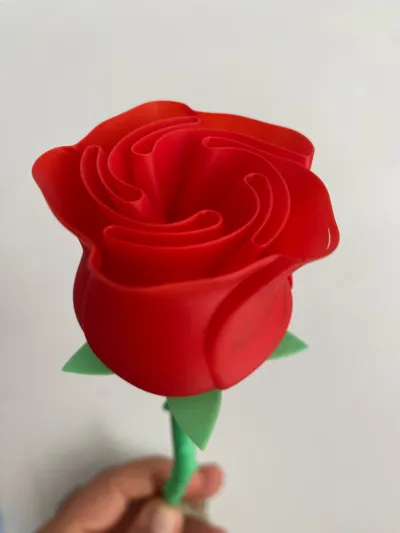 https://makerworld.bblmw.com/makerworld/model/89698/115102/ratings/3baac090-4dde-11f0-a724-6f74a3d3befc.jpg