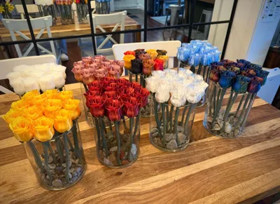 https://makerworld.bblmw.com/makerworld/model/89698/115102/ratings/65bd1760-2011-11f1-b710-fd0c712d674b.jpg