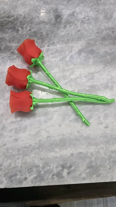 https://makerworld.bblmw.com/makerworld/model/89698/115102/ratings/747f9f70-2eb3-11f0-b122-97e5852bec82.jpg