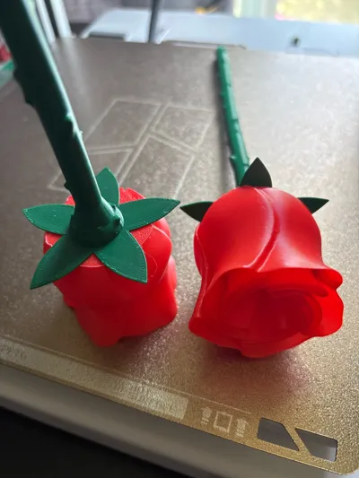 https://makerworld.bblmw.com/makerworld/model/89698/115102/ratings/896c3420-2e95-11f0-9bed-b5e6419fa3a0.jpg