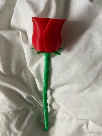 https://makerworld.bblmw.com/makerworld/model/89698/115102/ratings/9b18f9d0-10ac-11f0-b5cf-e345b8c4590c.jpg