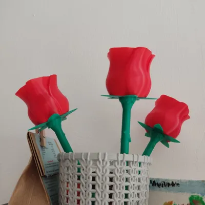 https://makerworld.bblmw.com/makerworld/model/89698/115102/ratings/bef537f0-fcd5-11ef-993b-fd520bc9582a.jpg