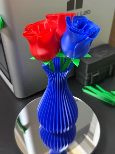 https://makerworld.bblmw.com/makerworld/model/89698/115102/ratings/daa79bd0-9e5d-11f0-a153-af533988e620.jpg