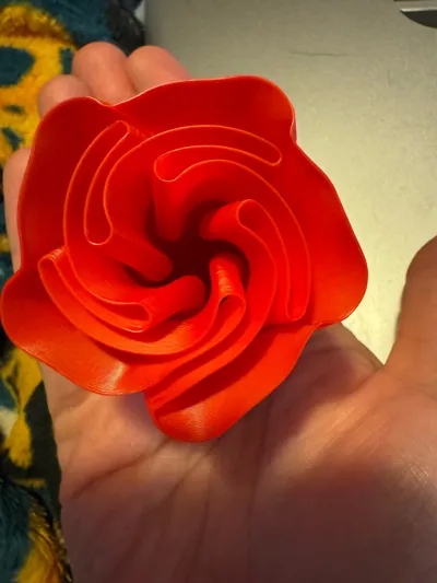 https://makerworld.bblmw.com/makerworld/model/89698/115102/ratings/dd077850-6587-11f0-9cf6-1fb732926efd.jpg