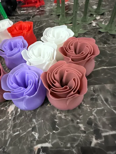 https://makerworld.bblmw.com/makerworld/model/89698/115107/ratings/1710eba0-4ed9-11f0-a82e-93bee538866a.jpg
