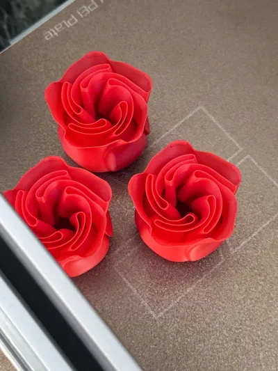https://makerworld.bblmw.com/makerworld/model/89698/115107/ratings/1714e340-4ed9-11f0-a82e-93bee538866a.jpg