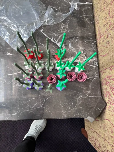https://makerworld.bblmw.com/makerworld/model/89698/115107/ratings/17292e90-4ed9-11f0-a82e-93bee538866a.jpg