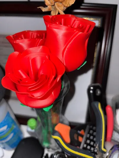 https://makerworld.bblmw.com/makerworld/model/89698/115107/ratings/174ef870-1043-11f0-9470-87c14cd04b6c.jpg