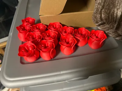 https://makerworld.bblmw.com/makerworld/model/89698/115107/ratings/25fa9080-29db-11f0-9947-0bcd750c868f.jpg