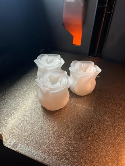 https://makerworld.bblmw.com/makerworld/model/89698/115107/ratings/b24bb960-0ab9-11f0-a9aa-13ad20893b14.jpg