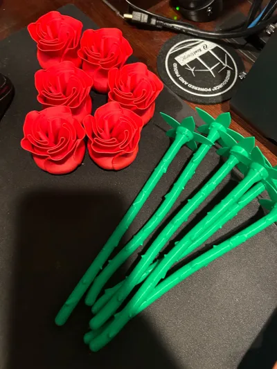 https://makerworld.bblmw.com/makerworld/model/89698/115107/ratings/c25200b0-791a-11f0-a709-7519b9b8f356.jpg