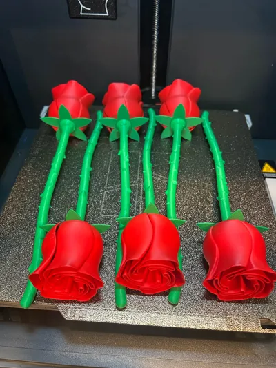 https://makerworld.bblmw.com/makerworld/model/89698/115107/ratings/c25dc080-791a-11f0-a709-7519b9b8f356.jpg