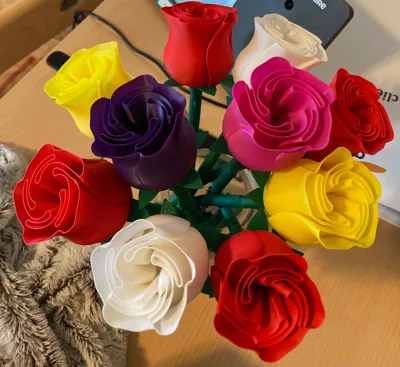 https://makerworld.bblmw.com/makerworld/model/89698/115107/ratings/e20d5430-3749-11f0-b02c-012078a3ac81.jpg