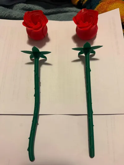 https://makerworld.bblmw.com/makerworld/model/89698/115107/ratings/feab39b0-6587-11f0-9cf6-1fb732926efd.jpg