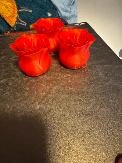 https://makerworld.bblmw.com/makerworld/model/89698/115107/ratings/feca0c50-6587-11f0-9cf6-1fb732926efd.jpg