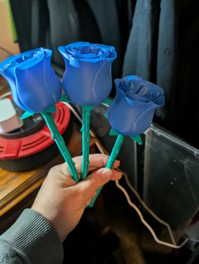 https://makerworld.bblmw.com/makerworld/model/89698/115113/ratings/4df0e140-71fa-11f0-8e93-3368929bf5dc.jpg
