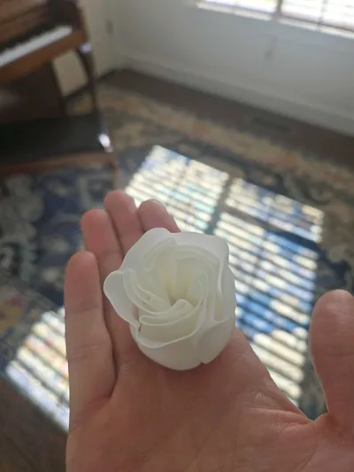 https://makerworld.bblmw.com/makerworld/model/89698/115113/ratings/ca79cf50-b3d2-11f0-9ff9-49c5f1ec0efc.jpg