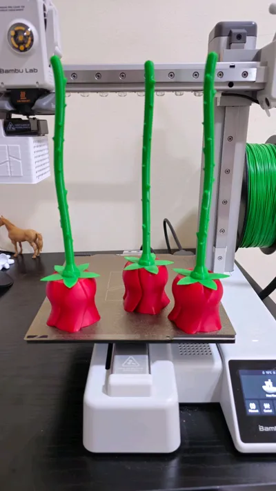 https://makerworld.bblmw.com/makerworld/model/89698/115113/ratings/e50cc9a0-0da9-11f0-84b5-a3ce9f552173.jpg