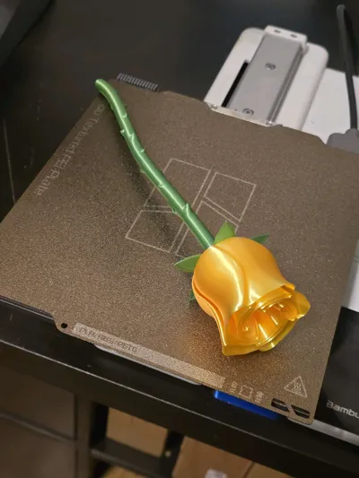 https://makerworld.bblmw.com/makerworld/model/89698/115114/ratings/234dd4e0-a21d-11f0-9ece-973a283a4ad4.jpg