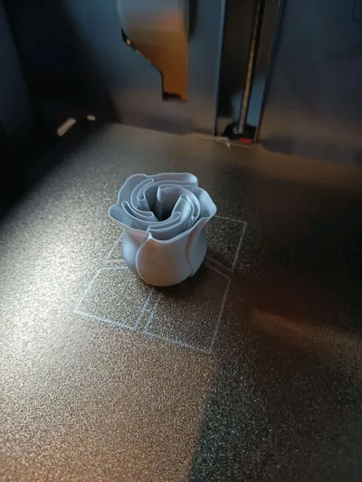 https://makerworld.bblmw.com/makerworld/model/89698/96027/ratings/6cdde4c0-8bdd-11f0-bb0c-9955aa40f505.jpg