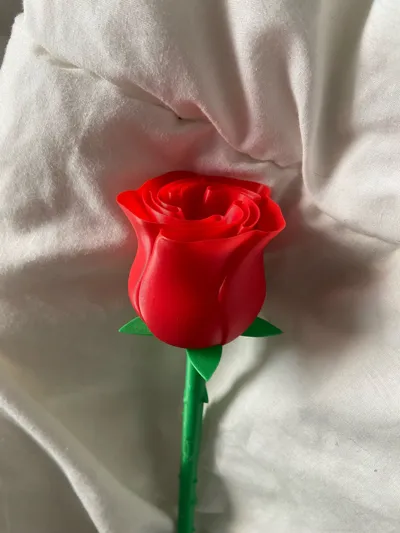 https://makerworld.bblmw.com/makerworld/model/89698/96027/ratings/7bc08800-10ac-11f0-b5cf-e345b8c4590c.jpg