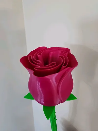 https://makerworld.bblmw.com/makerworld/model/89698/96027/ratings/9f45b8a0-2f6e-11f0-bad5-ed300240235f.jpg