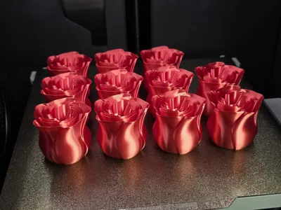https://makerworld.bblmw.com/makerworld/model/89698/96027/ratings/d57ef0f0-f7cc-11ef-9be0-c16343410a03.jpg