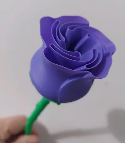 https://makerworld.bblmw.com/makerworld/model/89698/96027/ratings/dfb41960-0b99-11f1-913c-652674a07d55.jpg