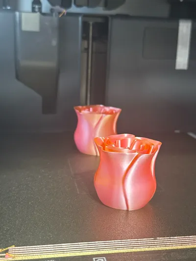 https://makerworld.bblmw.com/makerworld/model/89698/96027/ratings/edc59cc0-85ae-11f0-ade3-3df235acc139.jpg