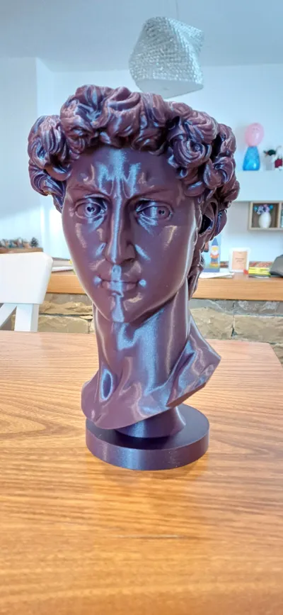 https://makerworld.bblmw.com/makerworld/model/89774/99153/ratings/950429d0-eadf-11f0-8f20-e3ba37ea3aa9.jpg