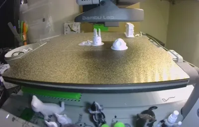 https://makerworld.bblmw.com/makerworld/model/898079/1048491/ratings/447d9370-f6fb-11f0-8399-d3737444f190.jpg