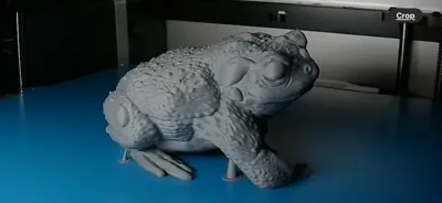 https://makerworld.bblmw.com/makerworld/model/898301/856755/ratings/b0ed4640-2712-11f0-adc9-bb78f4020bc9.jpg