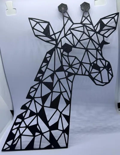 https://makerworld.bblmw.com/makerworld/model/898462/856934/ratings/da666aa0-1e99-11f0-8970-b9c644f21640.jpg