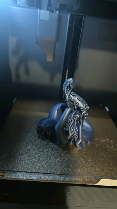 https://makerworld.bblmw.com/makerworld/model/898695/1114183/ratings/36763170-5439-11f0-b565-ab3f7e840096.jpg