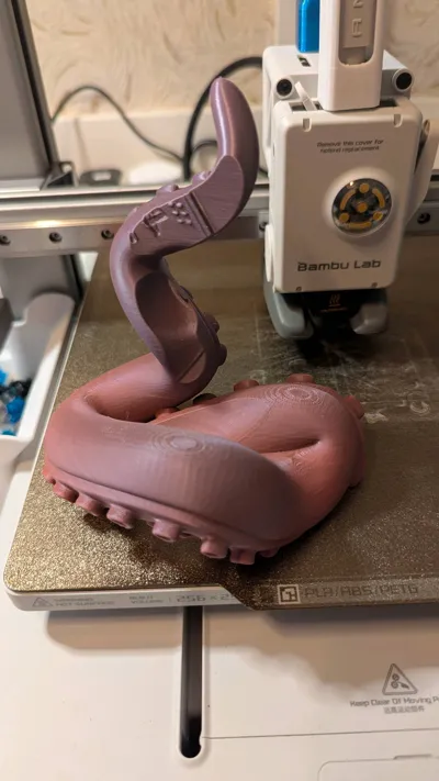 https://makerworld.bblmw.com/makerworld/model/898695/877834/ratings/8ef7e4c0-2a7b-11f0-981d-8feb5a278e44.jpg