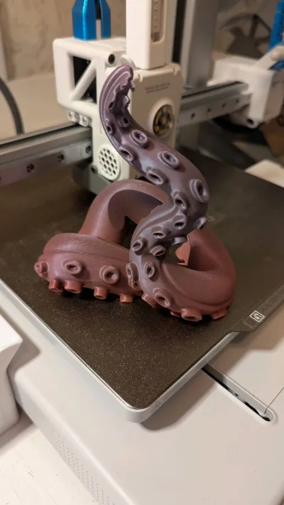 https://makerworld.bblmw.com/makerworld/model/898695/877834/ratings/8ef8cf20-2a7b-11f0-981d-8feb5a278e44.jpg