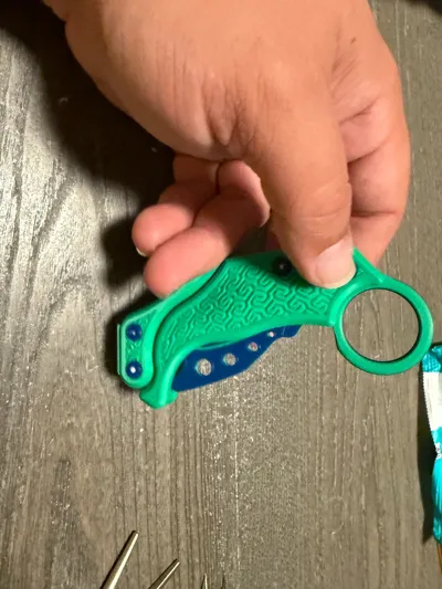 https://makerworld.bblmw.com/makerworld/model/898773/857321/ratings/53e2b070-4e54-11f0-a550-3fafd993d9c7.jpg