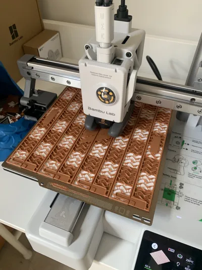 https://makerworld.bblmw.com/makerworld/model/899120/893055/ratings/be6517c0-075b-11f0-905b-3fe55c82d313.jpg