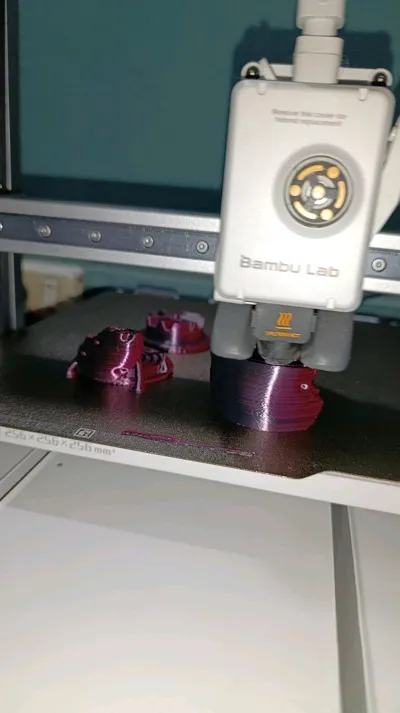 https://makerworld.bblmw.com/makerworld/model/899755/858493/ratings/ace61430-9131-11f0-9ae6-8d532990681e.jpg