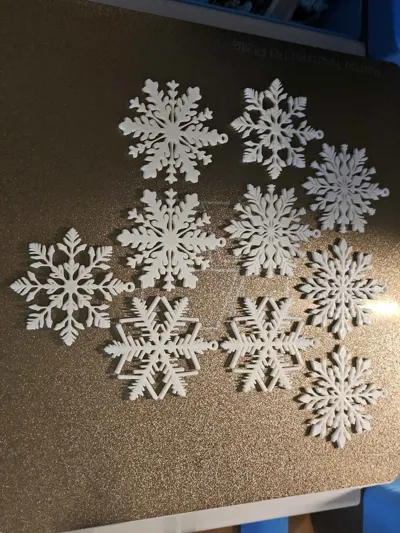 https://makerworld.bblmw.com/makerworld/model/899809/858563/ratings/14ddbb80-826c-11f0-a670-e34ee82277cf.jpg