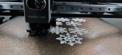 https://makerworld.bblmw.com/makerworld/model/899809/858563/ratings/6d777570-d928-11f0-95de-75ffe7f6e0d9.jpg