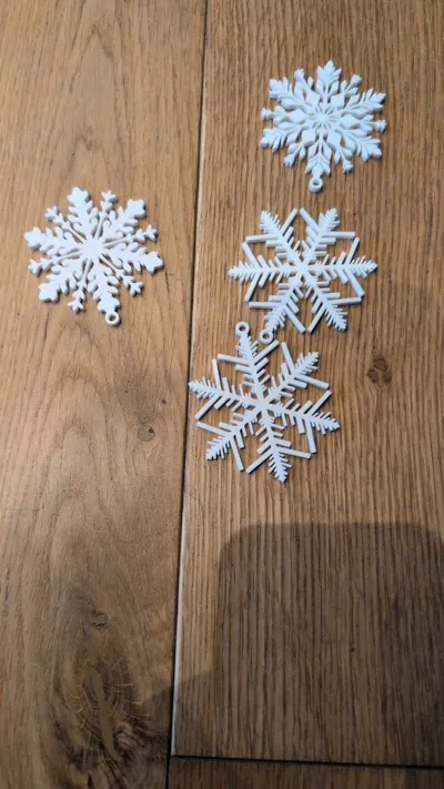 https://makerworld.bblmw.com/makerworld/model/899809/858563/ratings/a00622d0-d34b-11f0-9ae5-d13b5e67d46e.jpg