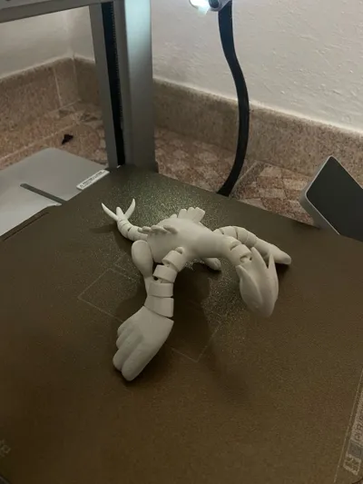 https://makerworld.bblmw.com/makerworld/model/900849/859819/ratings/cbcc6fe0-5aa2-11f0-aa4f-cfb9dd85d986.jpg