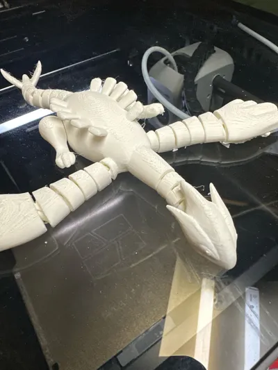 https://makerworld.bblmw.com/makerworld/model/900849/860862/ratings/f807bd00-fc08-11f0-9d8b-d327bc88a752.jpg