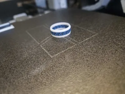 https://makerworld.bblmw.com/makerworld/model/901382/860478/ratings/d069a8f0-5995-11f0-89ec-2f114669d071.jpg