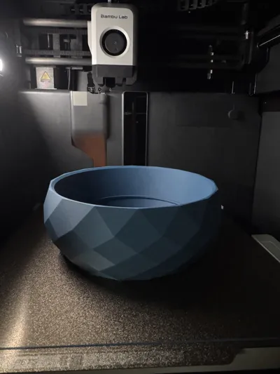 https://makerworld.bblmw.com/makerworld/model/902668/870102/ratings/71b5f690-025d-11f0-9f1d-ef55ffb5c2e5.jpg