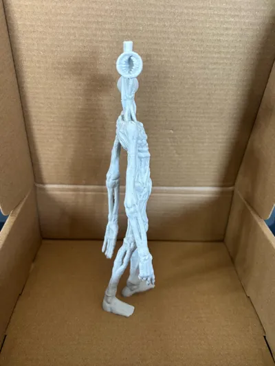 https://makerworld.bblmw.com/makerworld/model/902995/862449/ratings/7fa81680-59aa-11f0-90f5-6d4d840e3853.jpg